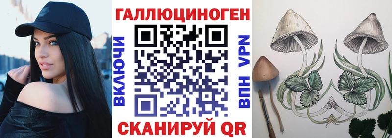 дарк нет клад  Сочи  МЕГА   Галлюциногенные грибы Psilocybine cubensis  купить наркотики цена 