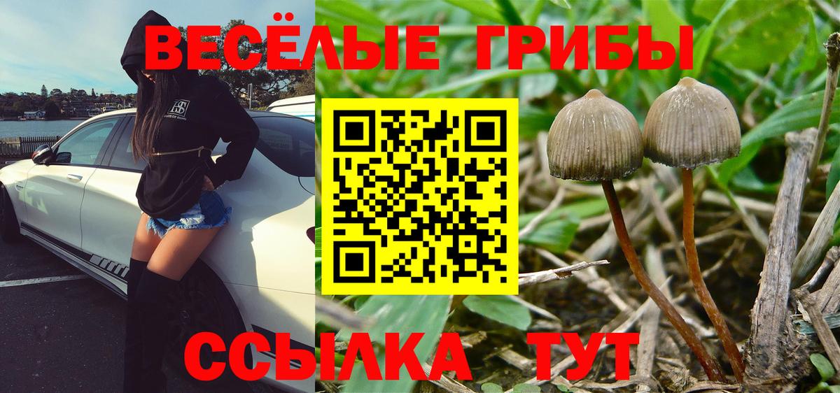 Галлюциногенные грибы ЛСД  Вход с VPN  Сочи 
